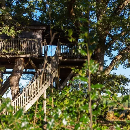 Lodge Cabane Spa *
